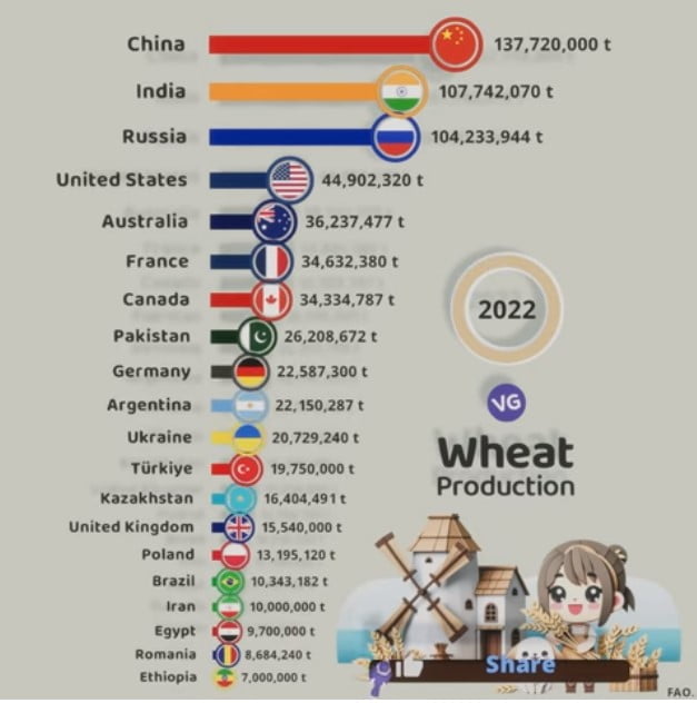 The Largest Wheat Producers in the World