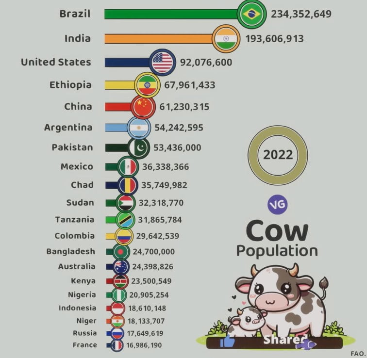 The Countries with the Most Cows in the World