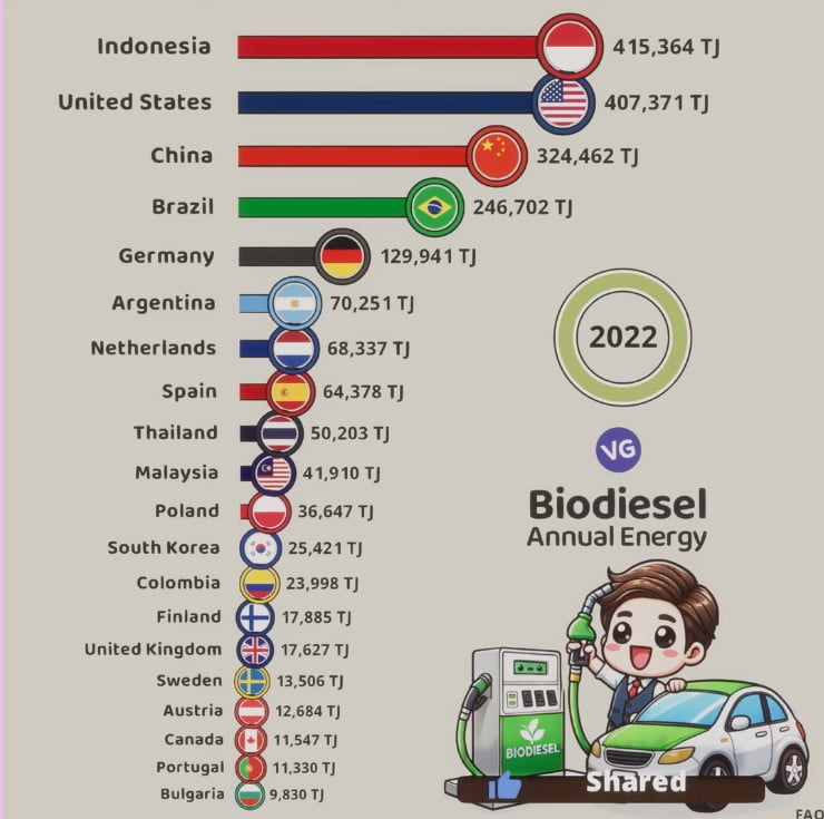 largest biodiesel producers in the world