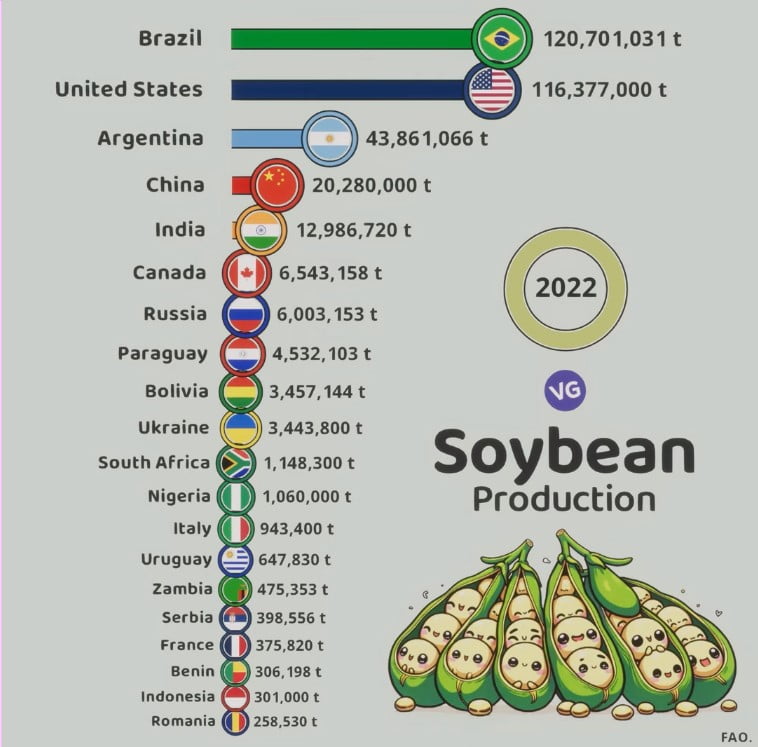 The Biggest Soybean Producers in the World