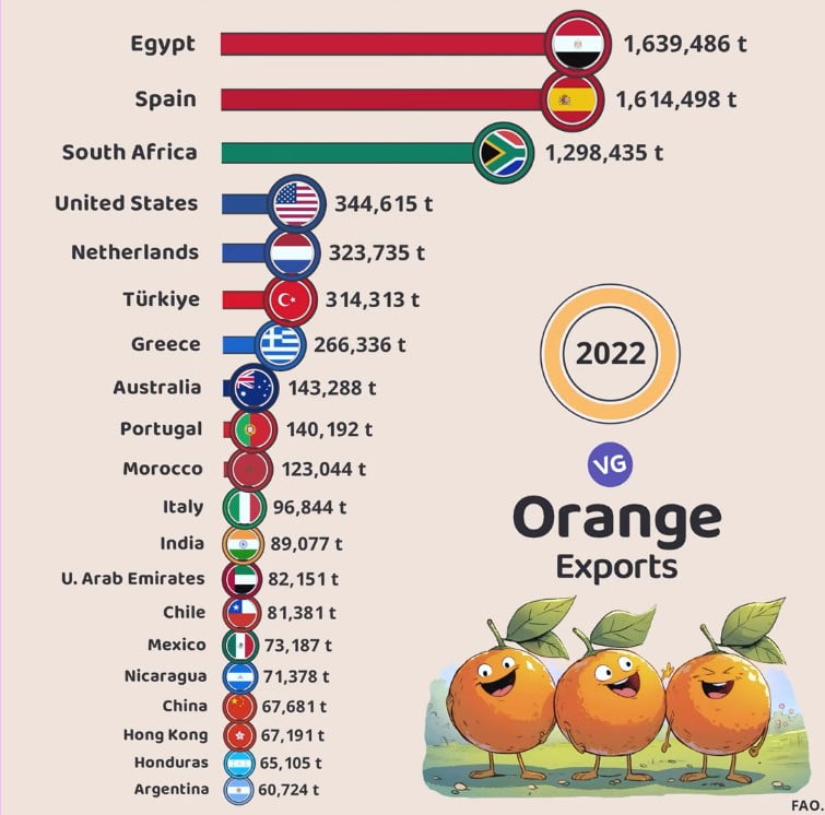 The Largest Orange Exporters in the World