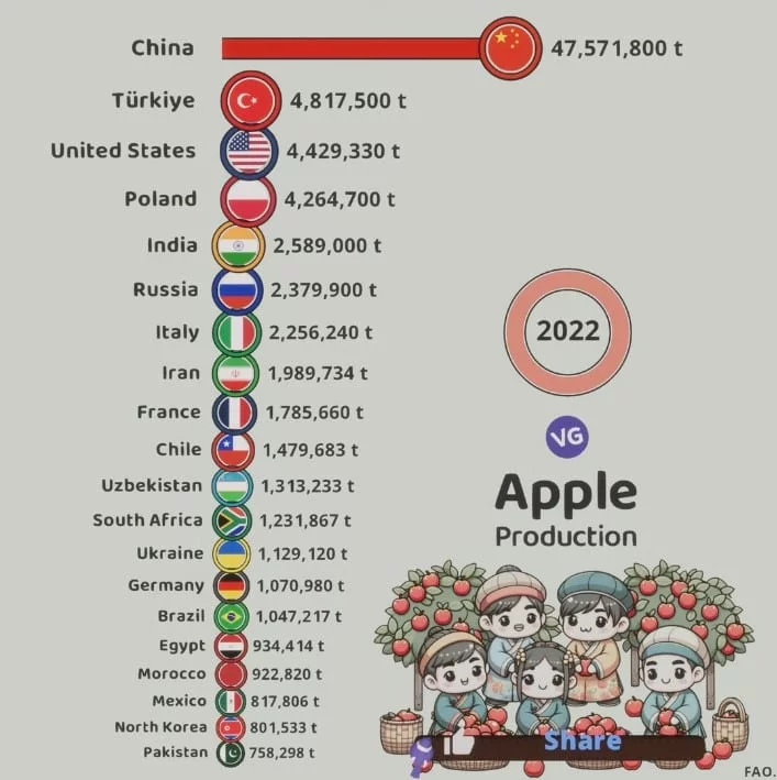 biggest apple producers in the world