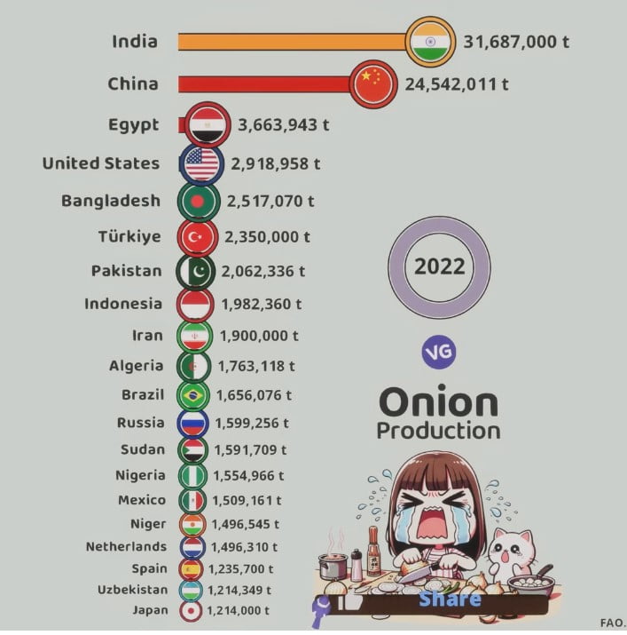biggest onion producer in the world