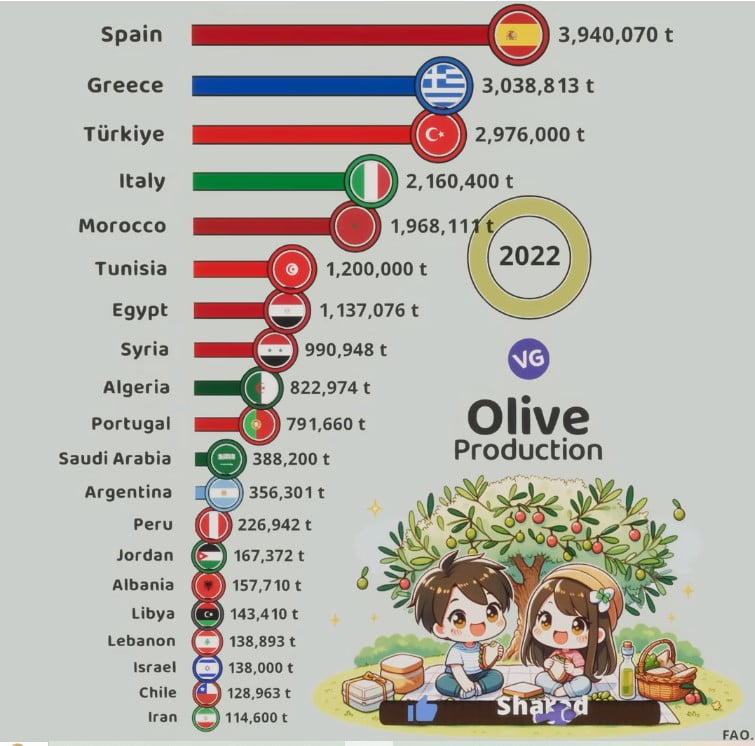 biggest producer of olive oil in the world