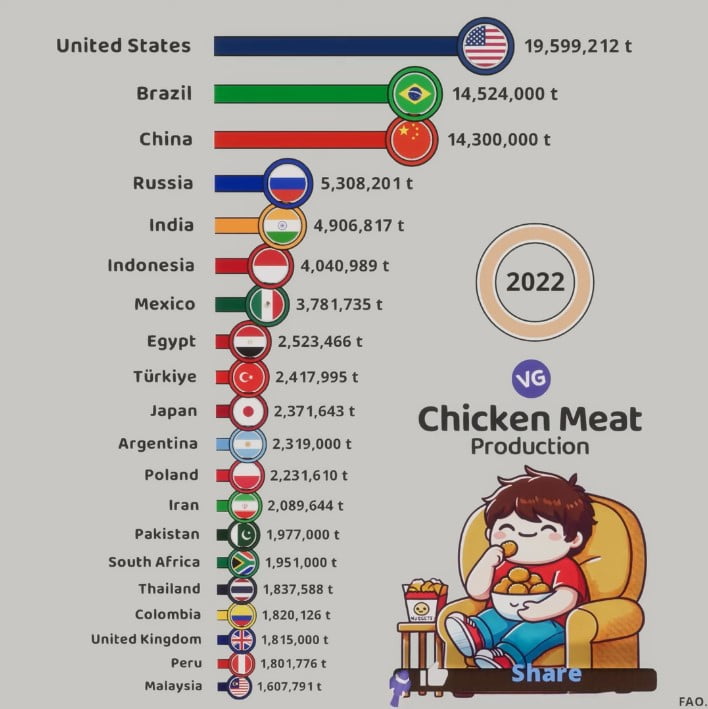 Largest Chicken Producers in the World