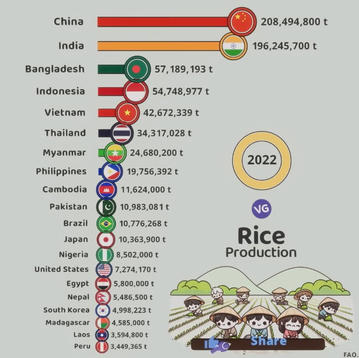 the largest producer of rice in the world