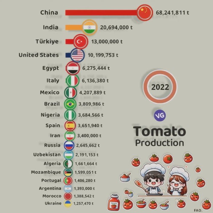 tomato producing countries