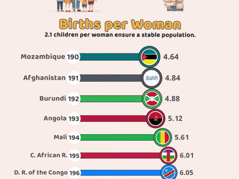 Top Country Births per Woman in 2024