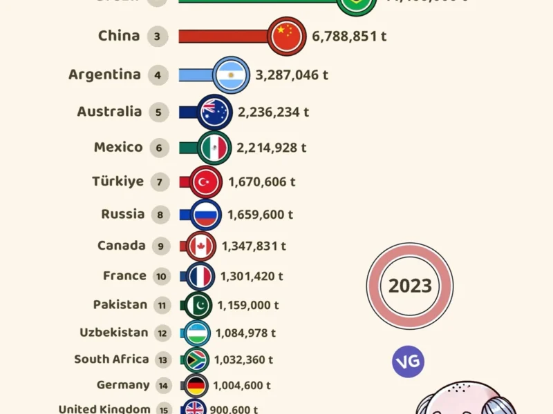 The Largest Beef Producers in the World 2023