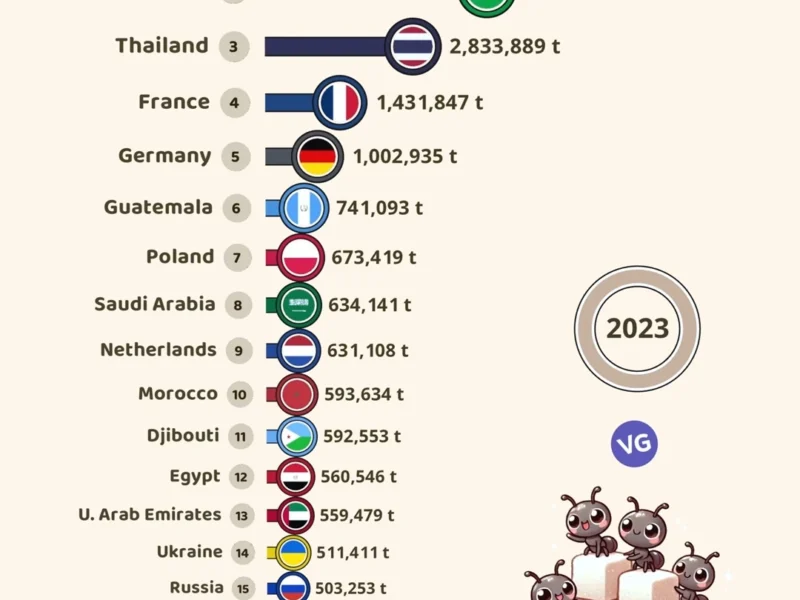 Refined Sugar Exports (2023)