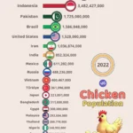 Top 20 Countries with the Highest Chicken Population (2022)