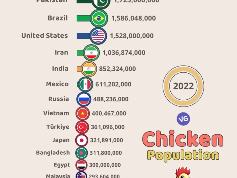 Top 20 Countries with the Highest Chicken Population (2022)