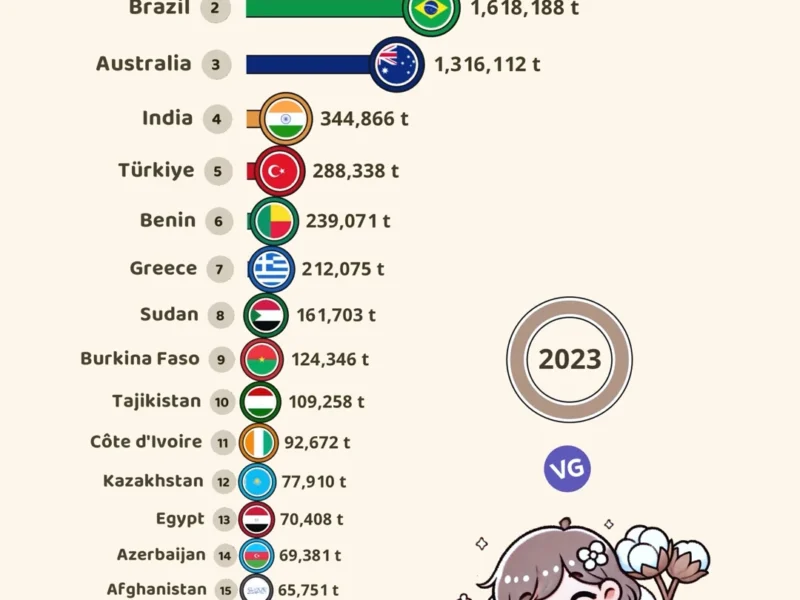 Top Cotton Exporting Countries (2023)