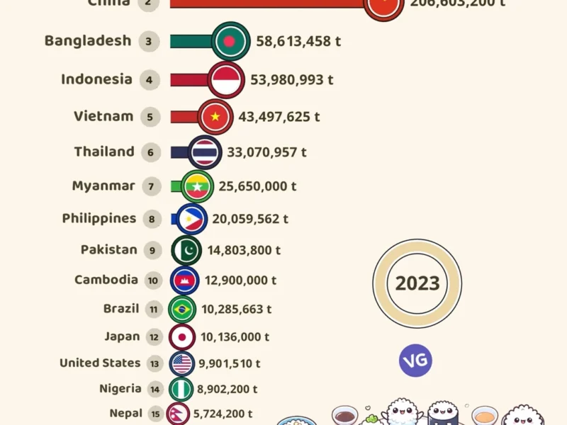 Les Plus Grands Producteurs de Riz dans le Monde en 2023