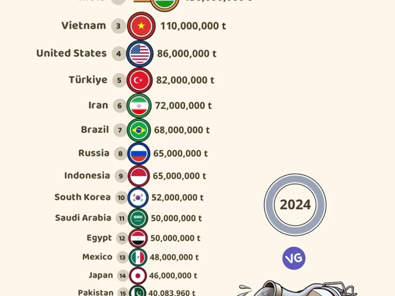 Top 20 Cement-Producing Countries (2024)