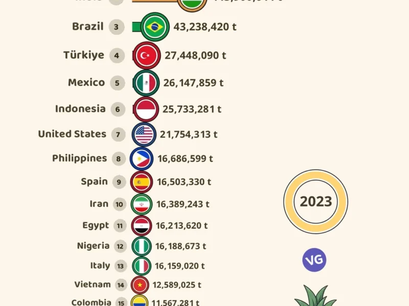 Top Fruit-Producing Countries (2023)