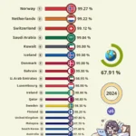 🌐 Top 20 Countries with the Highest Internet Access (2024) 📶