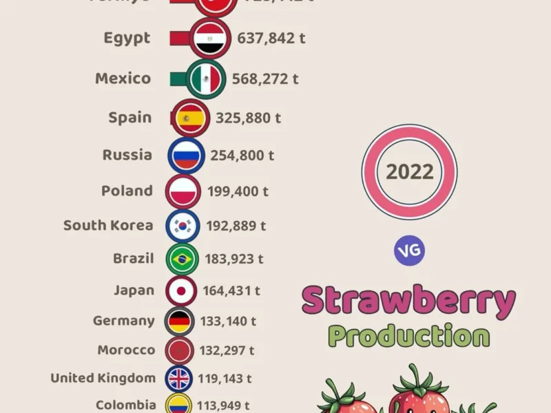 Top 20 Strawberry-Producing Countries (2022)