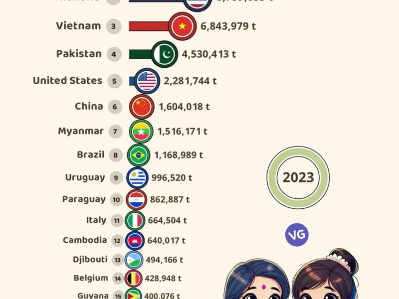 🌾🌍 Top 20 Rice Exporters in the World (2023) 📦🚢