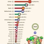 The Countries that Export the Most Vegetables in the World 2023