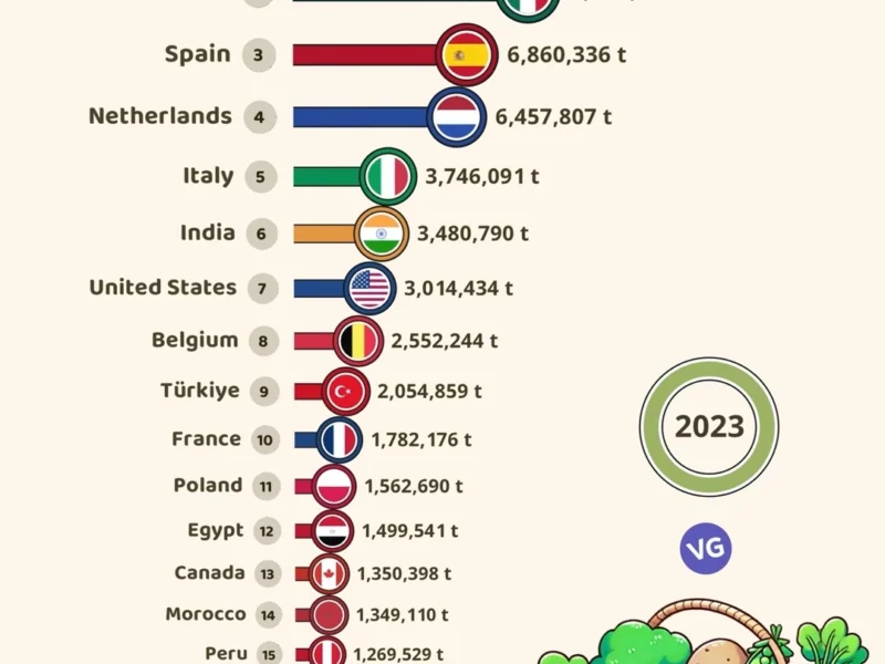 The Countries that Export the Most Vegetables in the World 2023