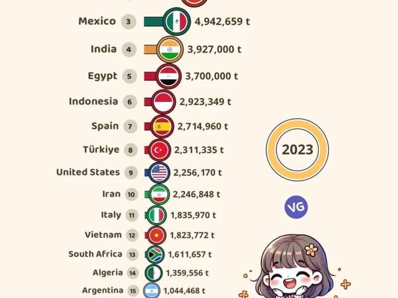 Top 20 Orange-Producing Countries (2023)