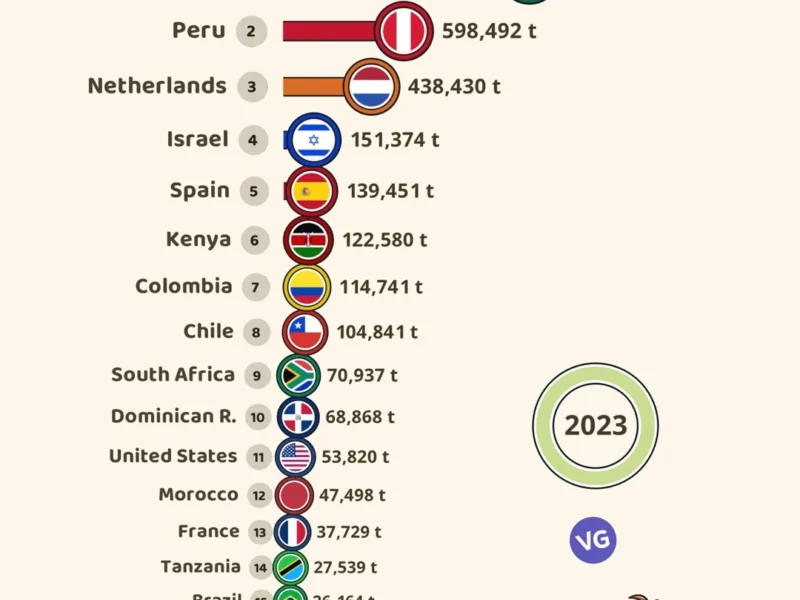 Top Avocado Exporters in the World (2023)