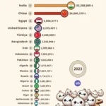 Top 20 Onion Producers in the World (2023)