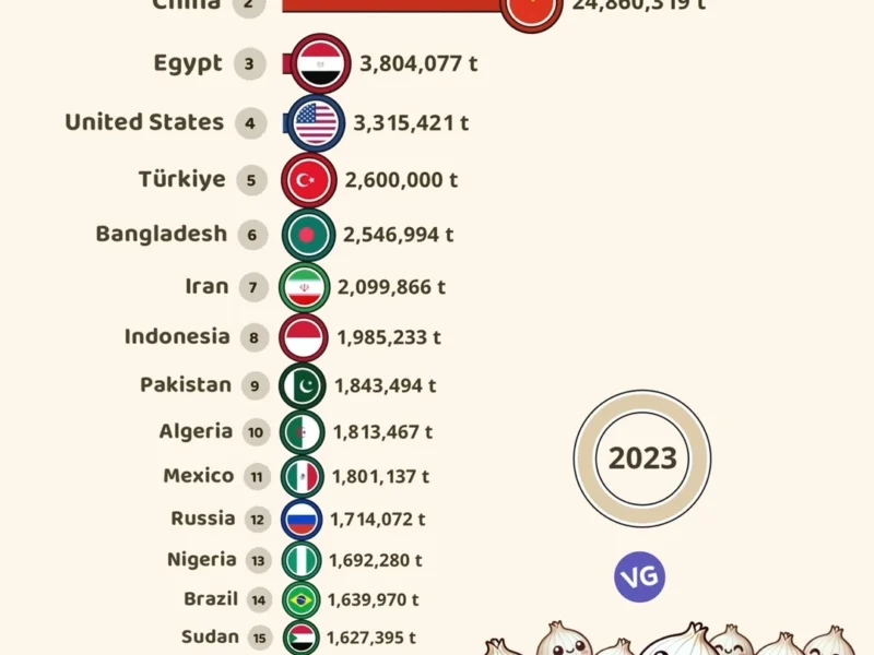 Top 20 Onion Producers in the World (2023)