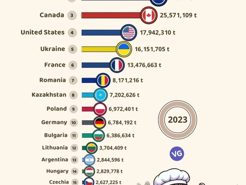 The Largest Wheat Exporters in the World 2023